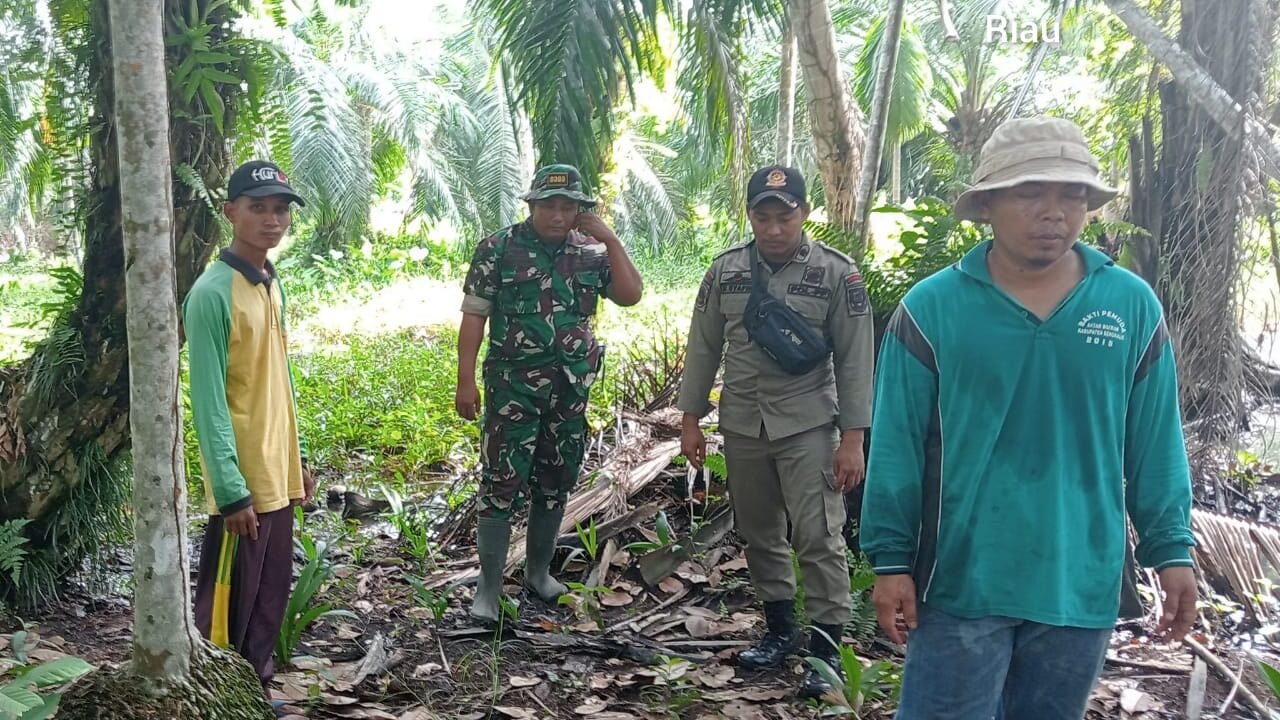 Babinsa Serka Heru Bujono Patroli Cegah Karhutla Di Wilayah Desa Pematang Duku Timur