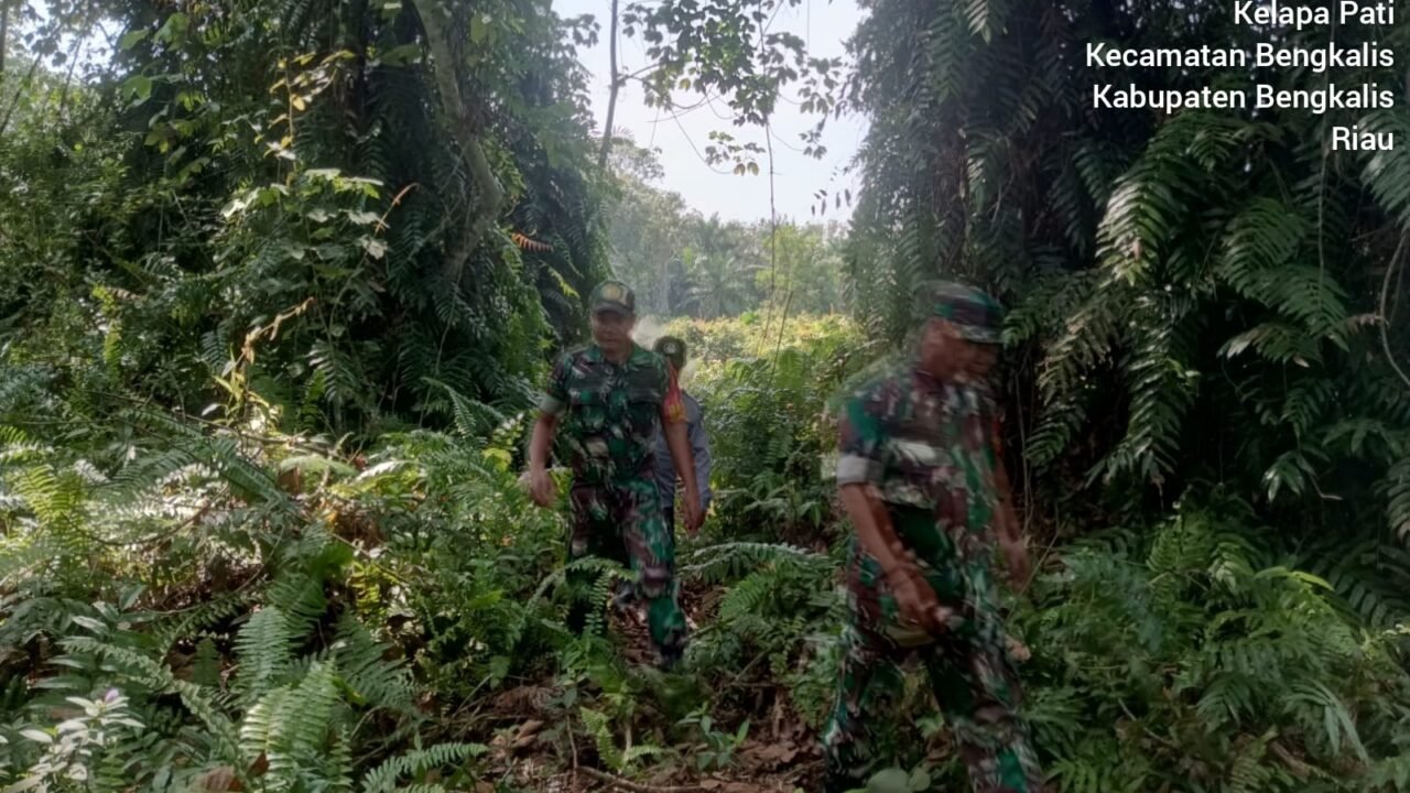 Di Musim Panas, Babinsa Koramil Bengkalis Gelar Sosialisasi Dan Patroli karhutla.